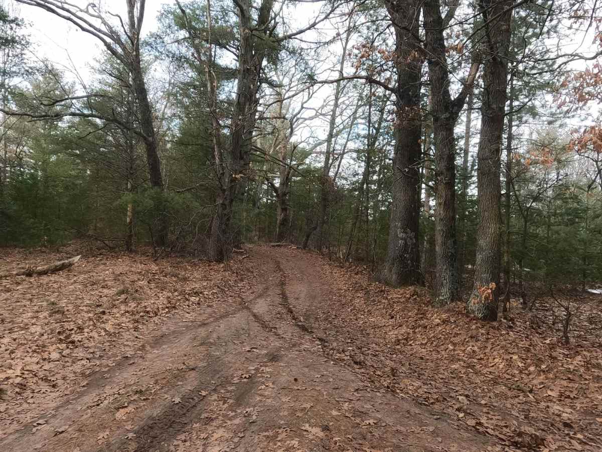 Dalson Road between Brunswick and Raymond Roads photo 5