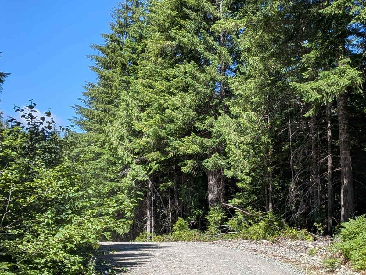 Back Road photo 5