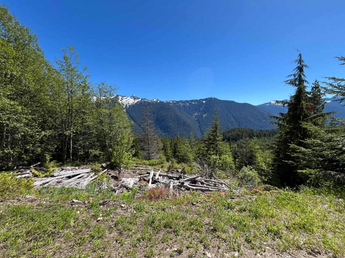 Green Mountain trail photo