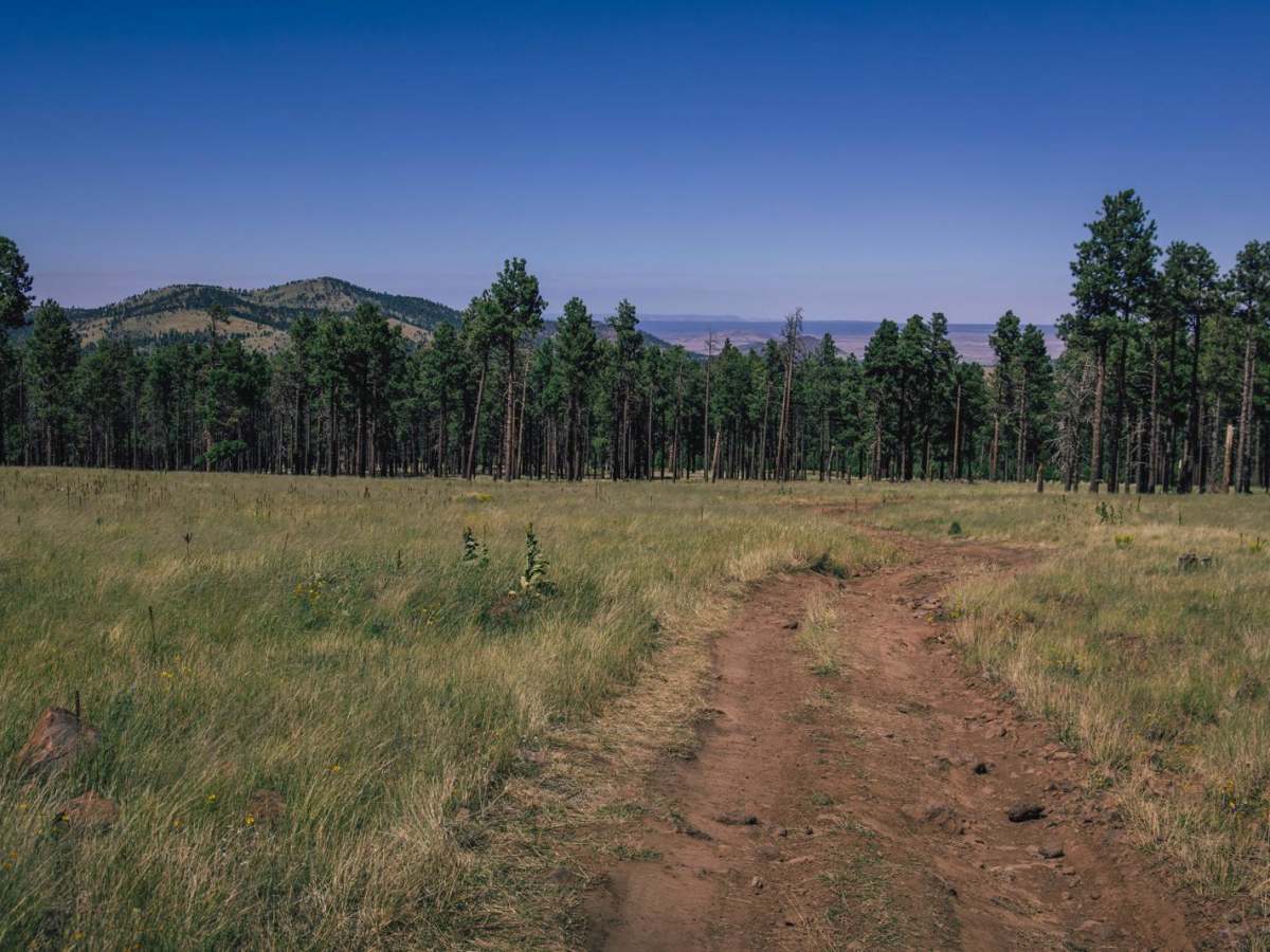 High Grass Crossing photo 3