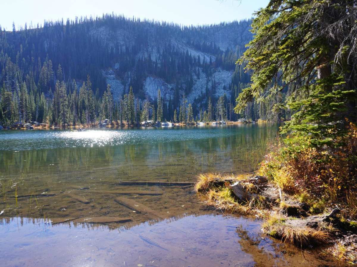 Cooks Lake trail photo