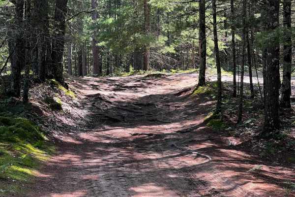 Rooted River Trail