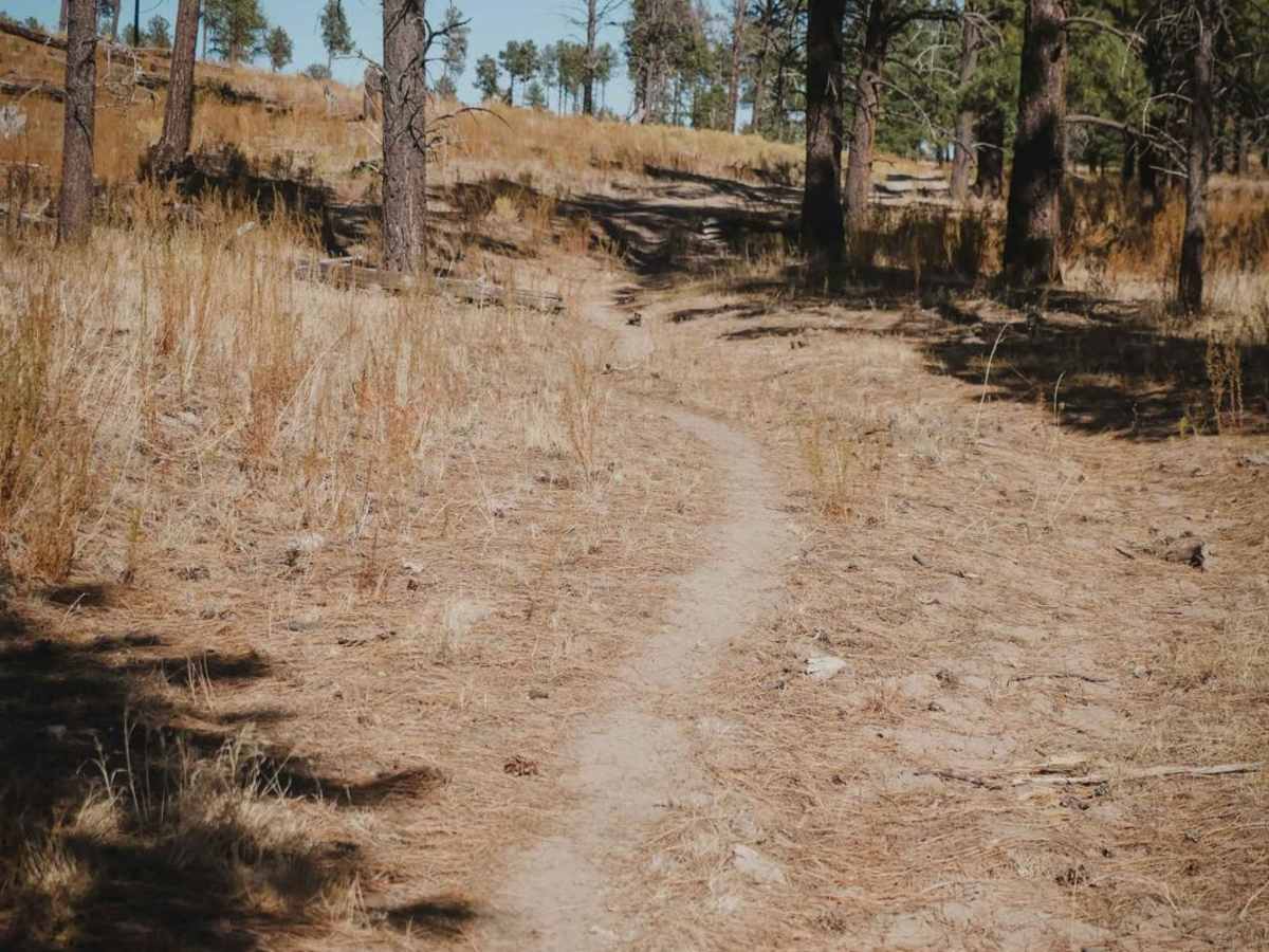 Corral Canyon photo 3
