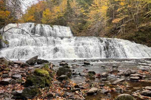 Pipers Glen Road