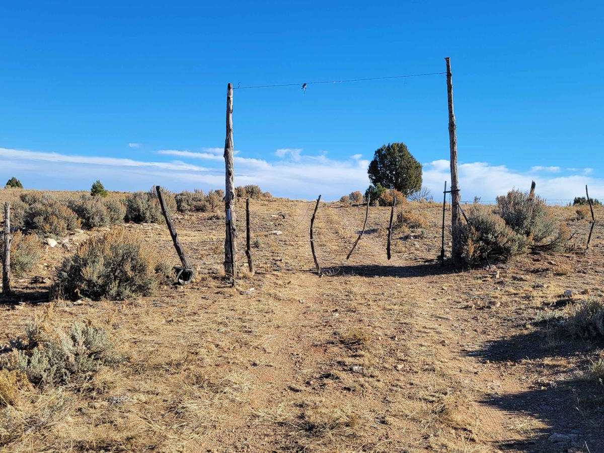BLM 1647 photo 6