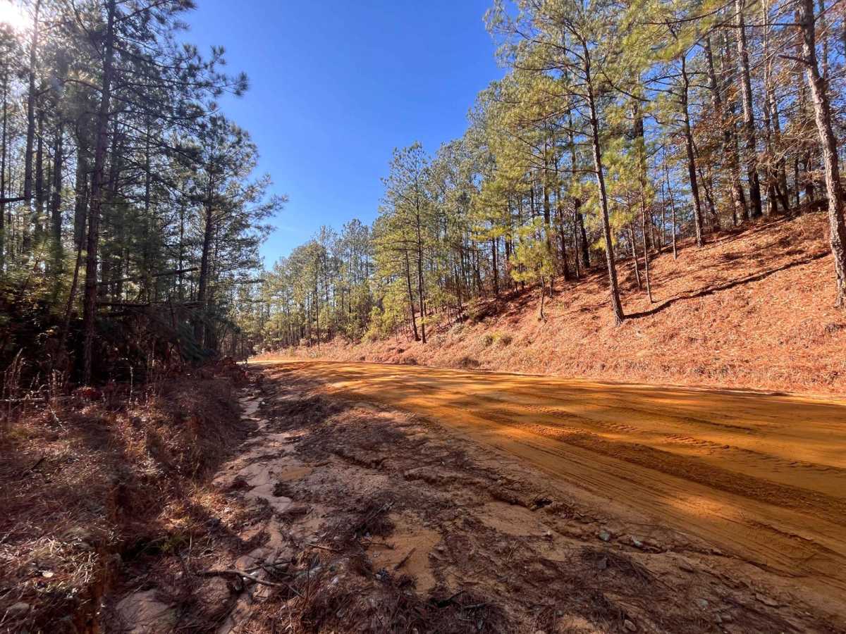 Mason Branch Road trail photo