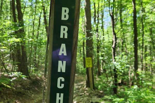 Lower Branch - Rock Run Recreation Area