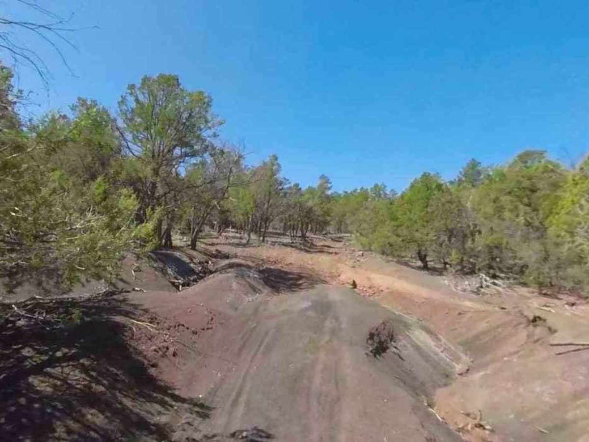 Little Oak Spring Road BLM 1029 photo 4