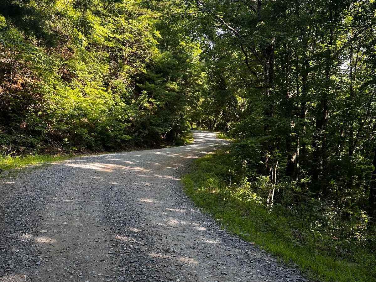 Springer Mountain Trail trail photo