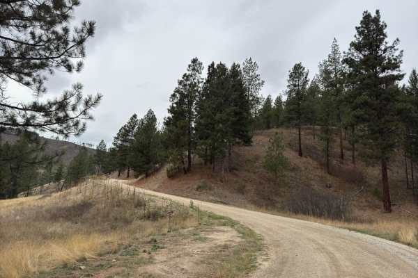Mine Road
