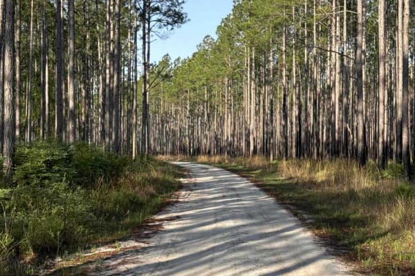 Ashmore - Apalachicola FR 321