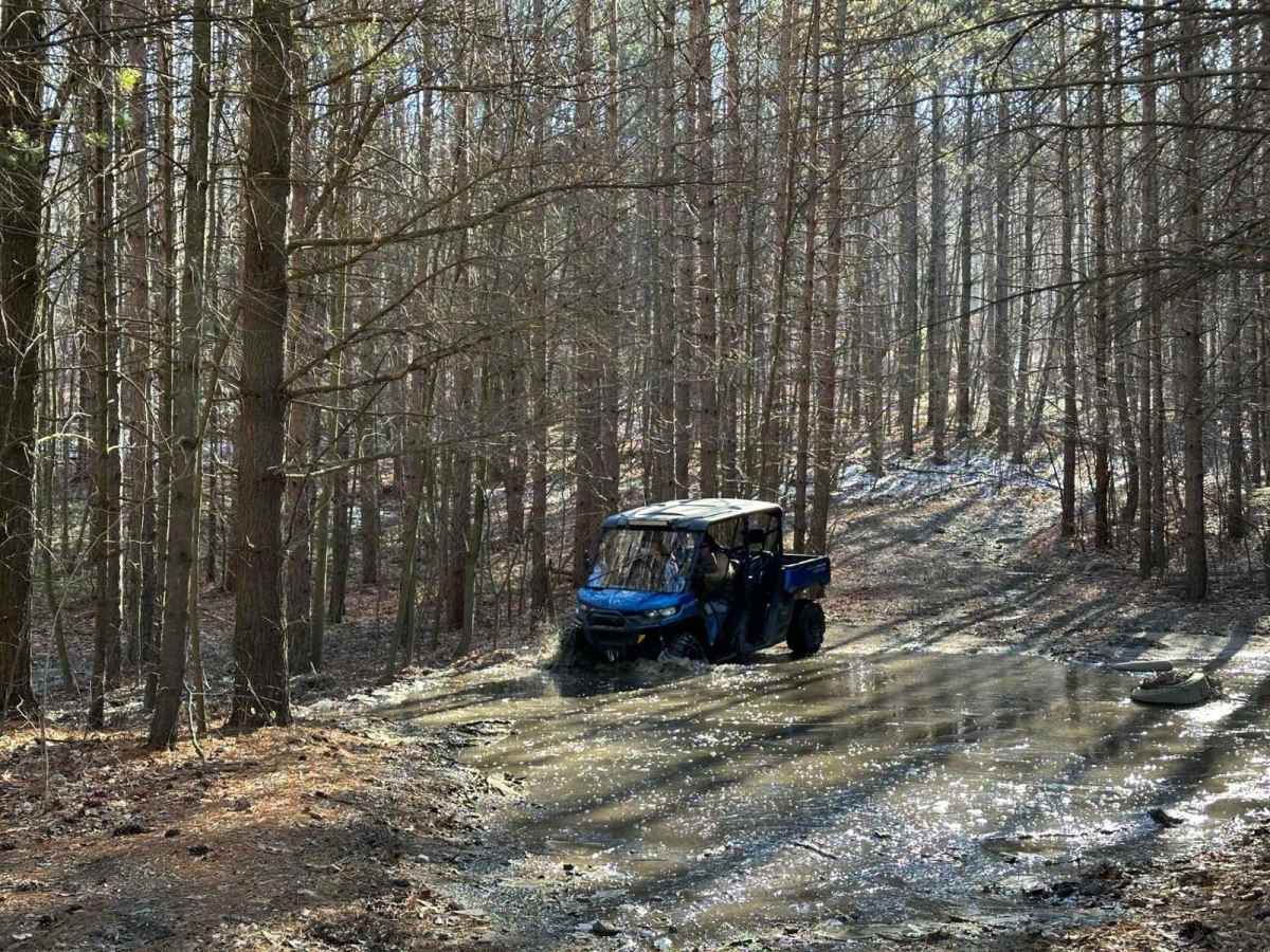 Locust Gap 20 photo 5