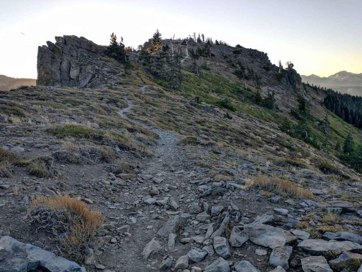Ellis Peak Bike Trail trail photo