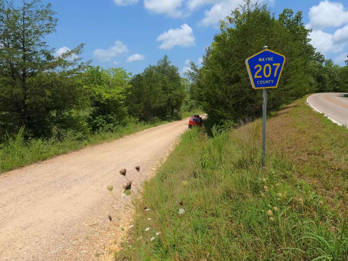 Wayne - CR 207 trail photo