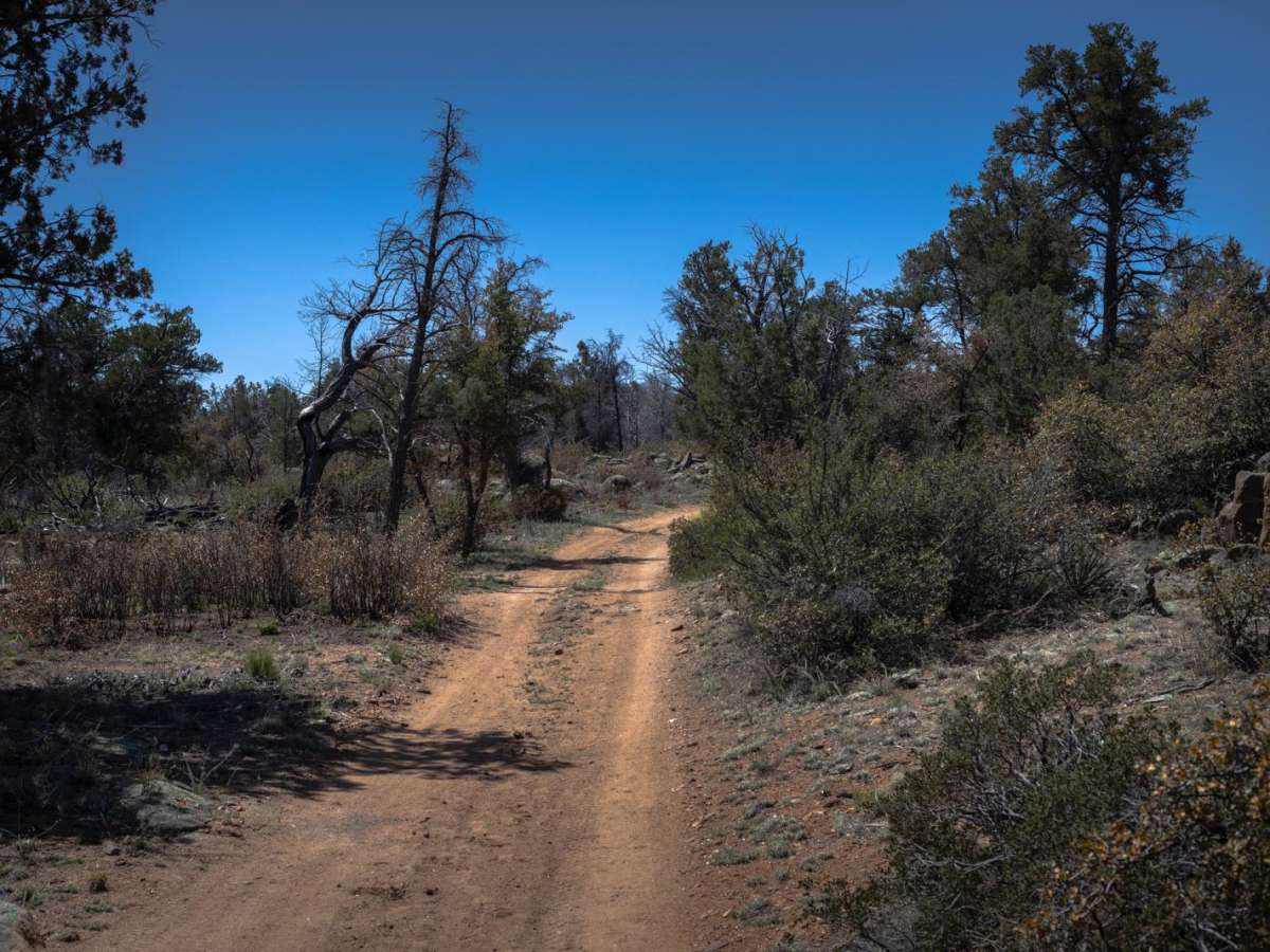 Graver Wash photo 4