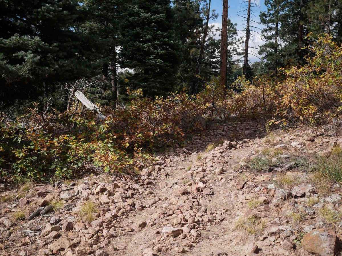 Mule Mountain Spur 1 photo 4