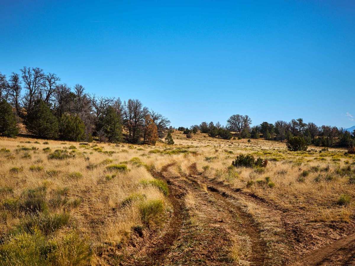 Old 2742 Road trail photo