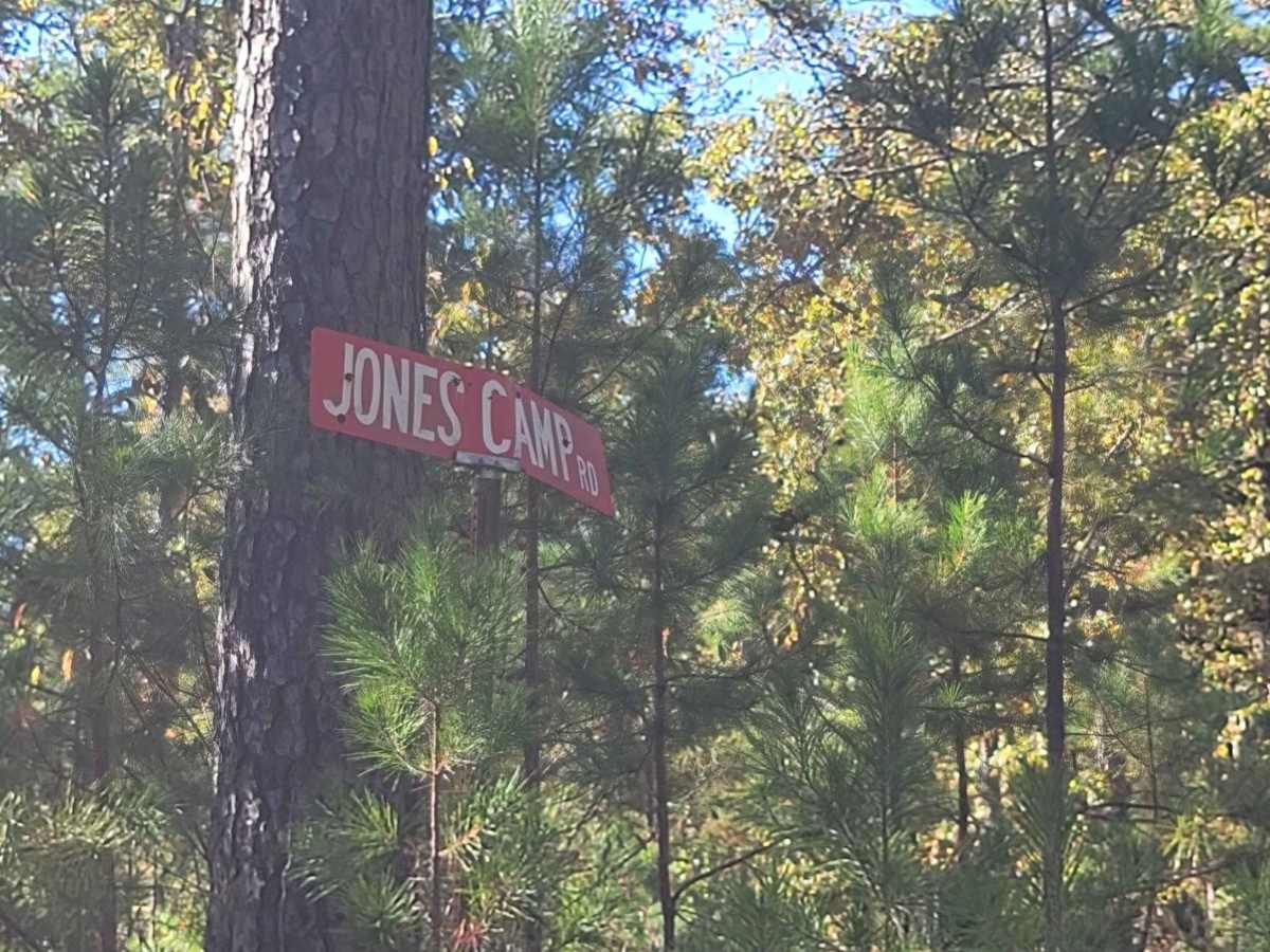 Jones Camp trail photo