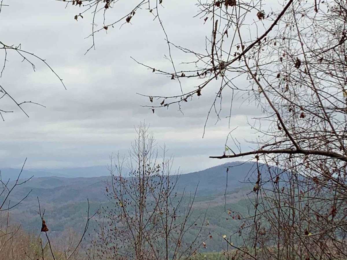 Peavine Sheeds - CR 221 trail photo