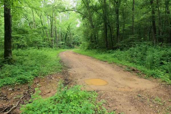 Crutcher Hollow Road FS 213