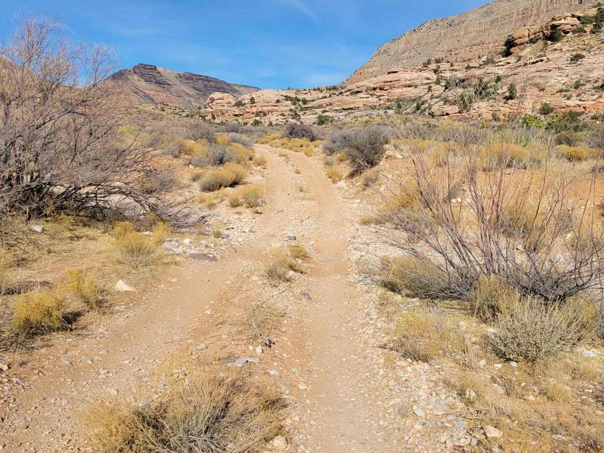 Jump Canyon - BLM 1033 photo 3