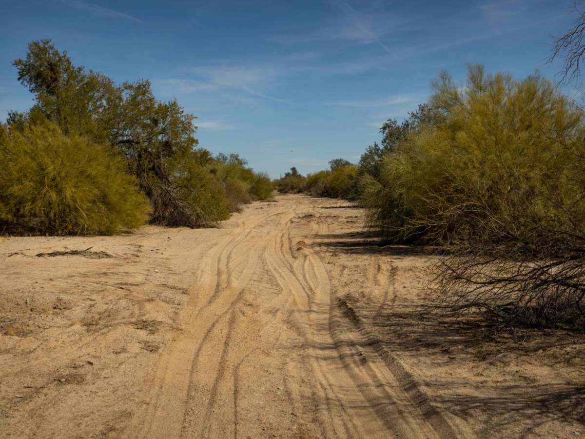 Parker Wash photo 5