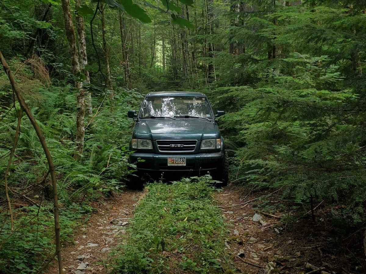 Deep Woods Brap Adventure photo 6