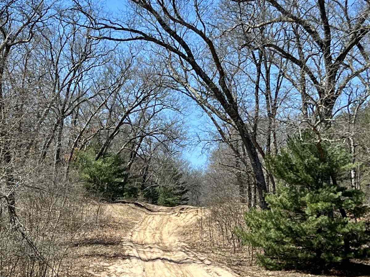 NFS 9847/Cedar Creek Motorsport Trailhead trail photo