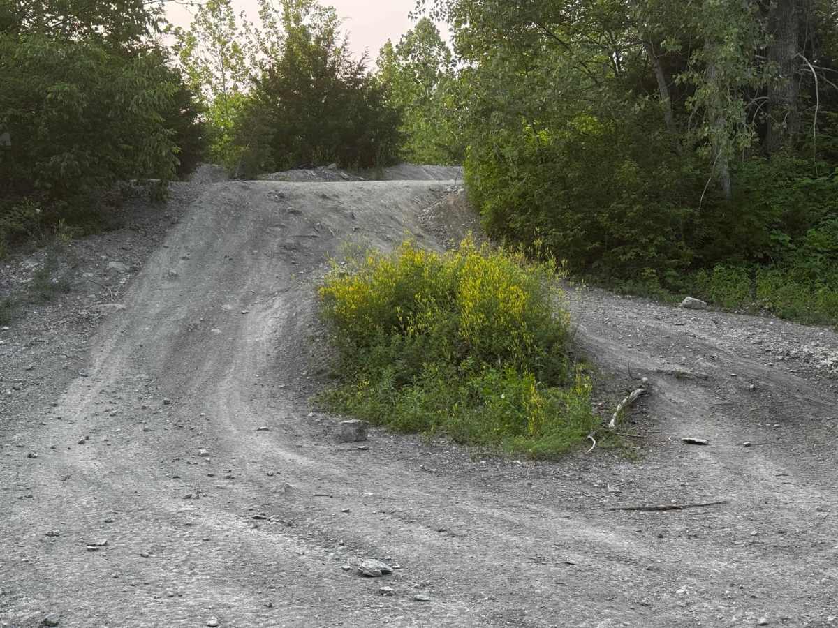Green 160 trail photo