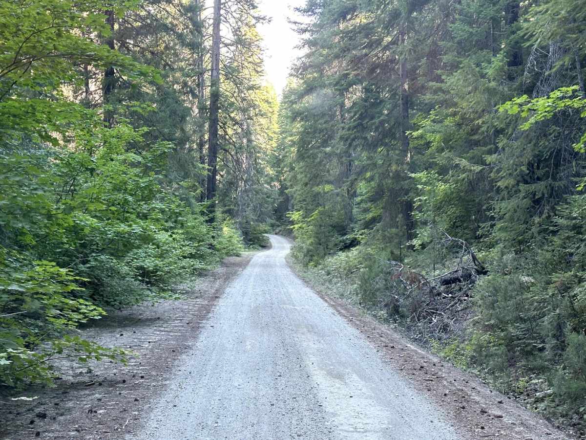Lower Chiwawa River Road photo 5