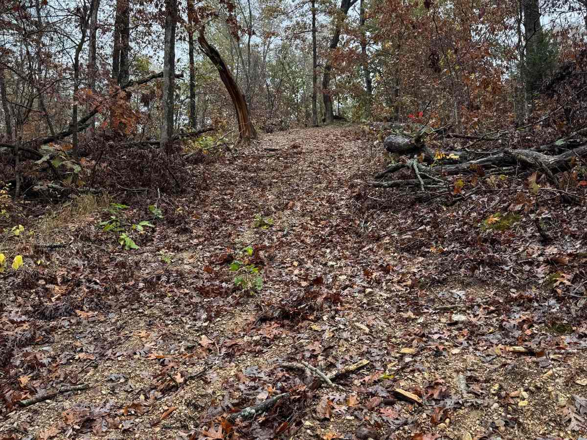 Yellow 97 trail photo