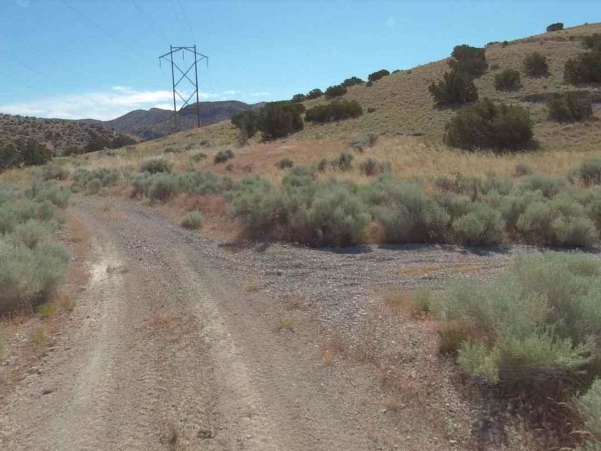 Conger Mountain OHV Route 2 trail photo