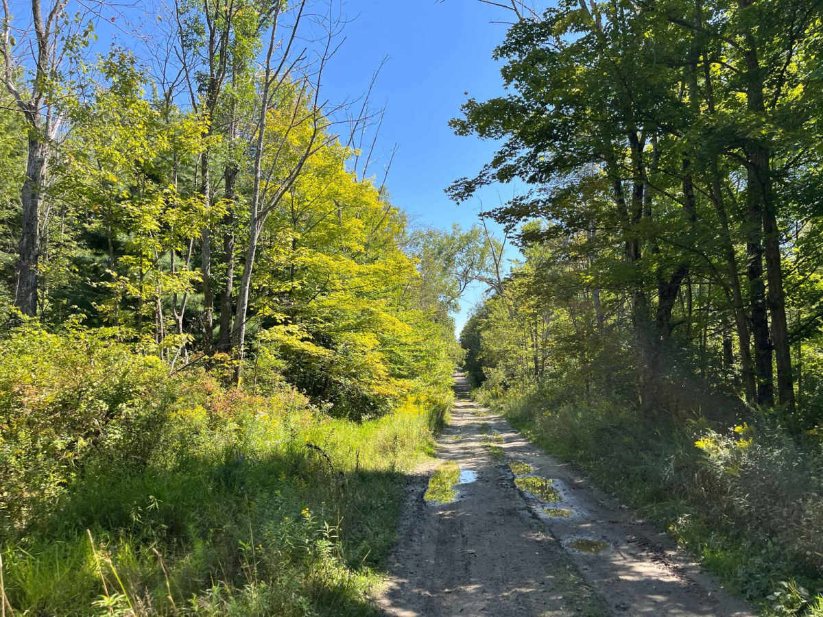Harrison Road photo 3