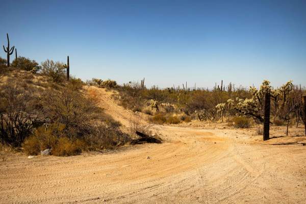 Paisano's Pathway