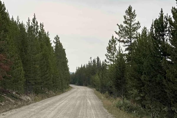 Pannask Lake Road