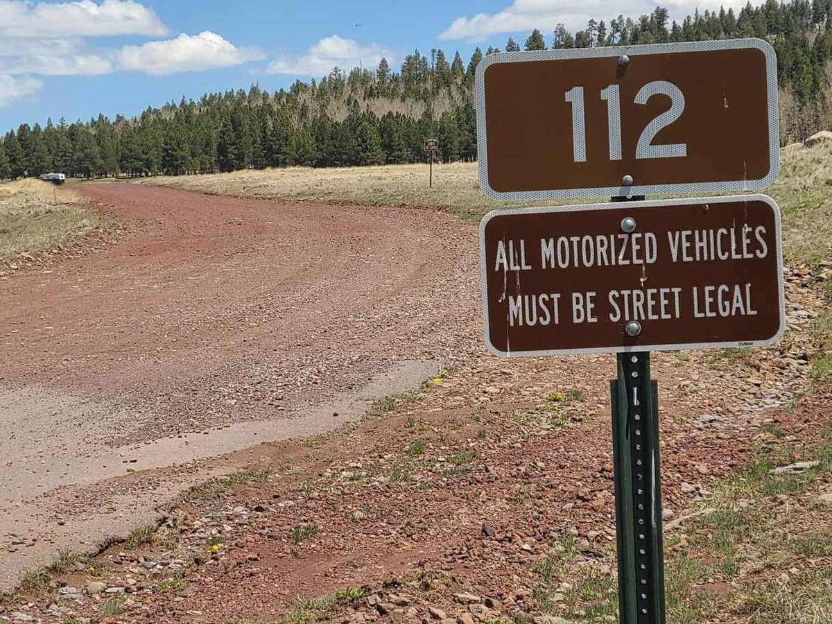Forest Service Road 112 photo 6
