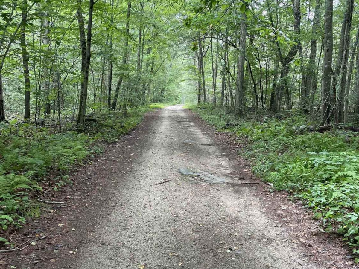 Tower Hill Road to Spruce Ledge Road trail photo