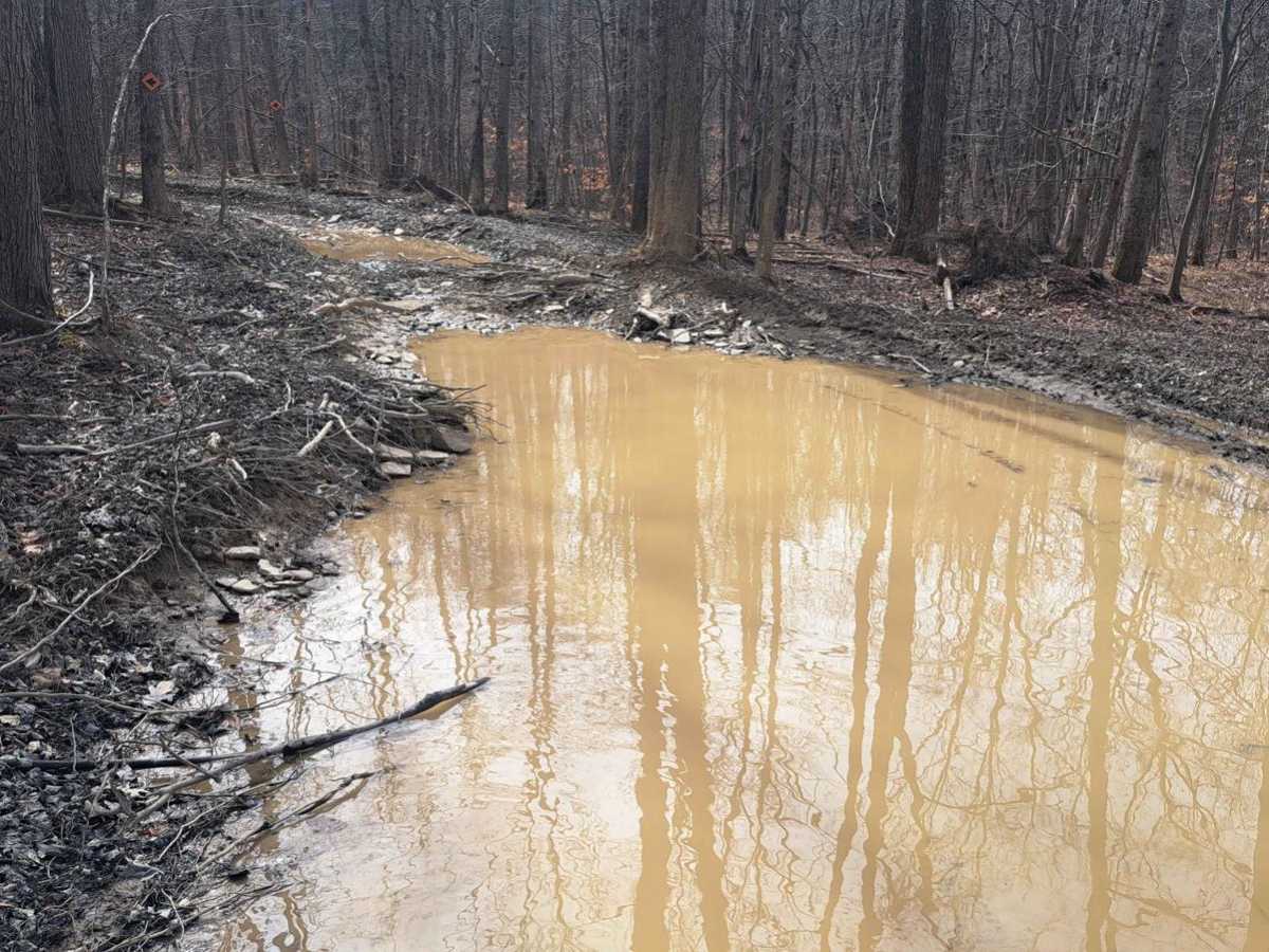 Cat Land trail photo