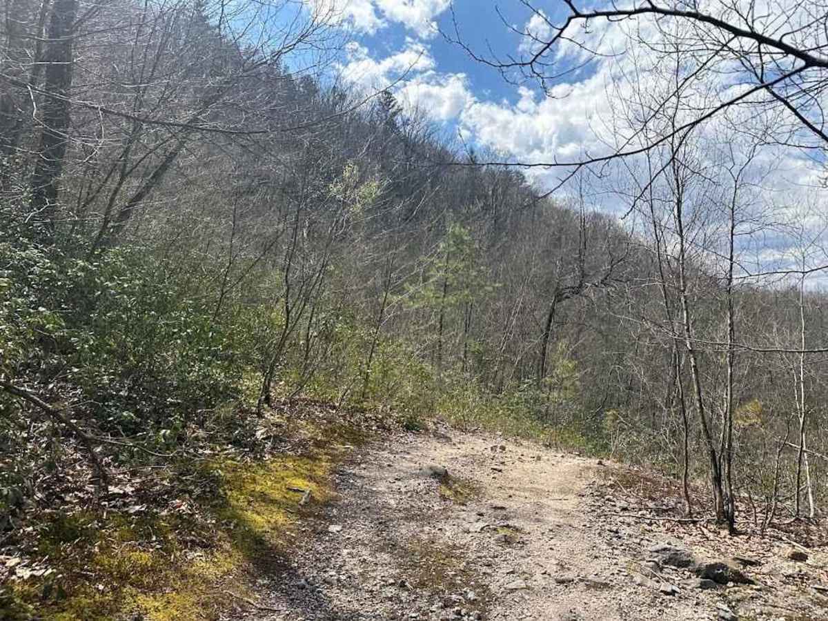 Ashland 126 trail photo