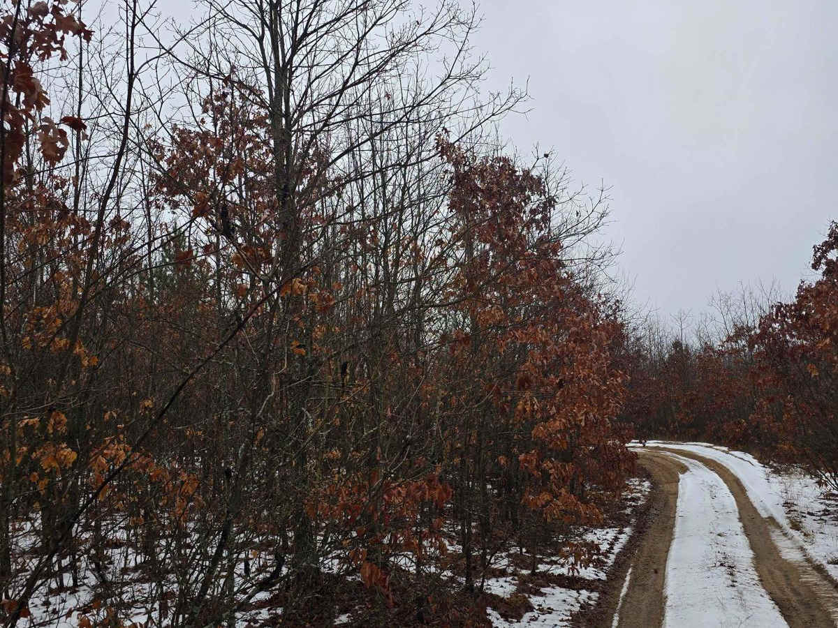 Oil Well Trail photo 3