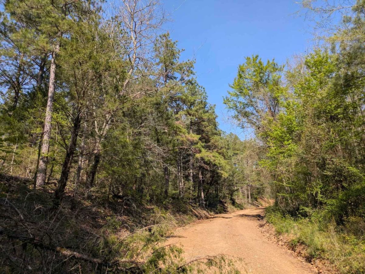 Route 4 photo 5