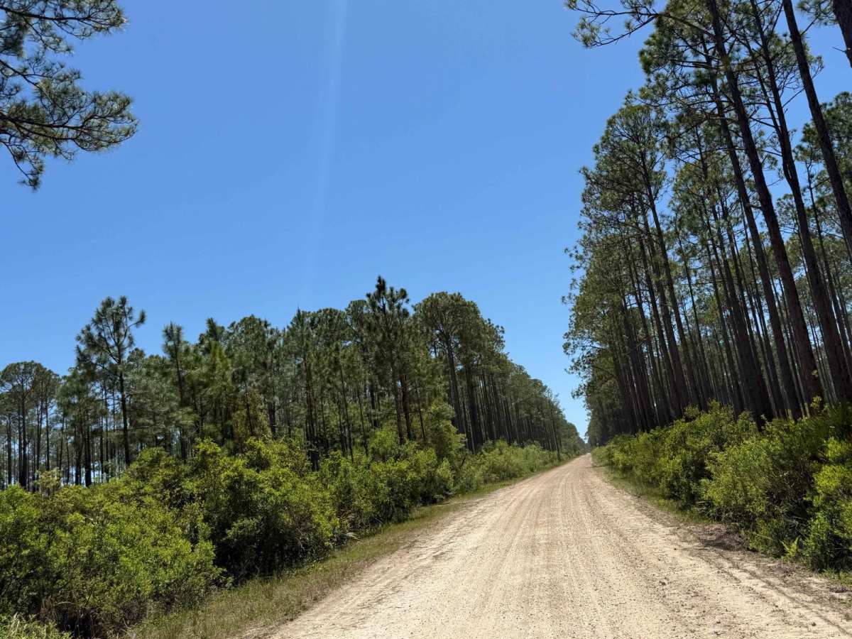 John Allen Road photo 2