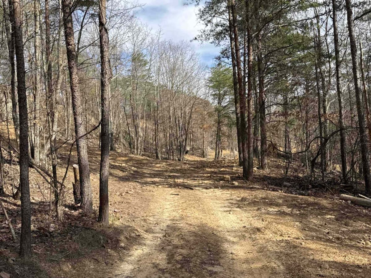 #2 Bluff Trail photo 3