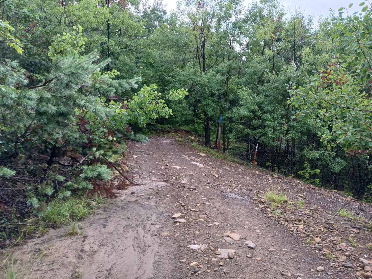 Trail 11A - Rock Run Recreation photo 5