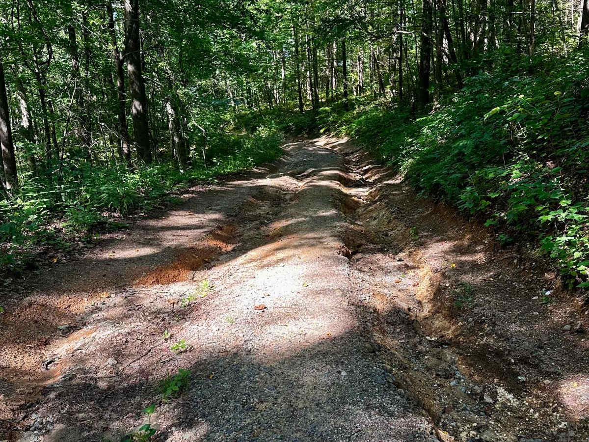 Long Creek Trail photo 6