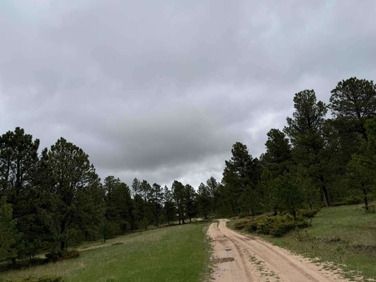 Bear Run photo 3