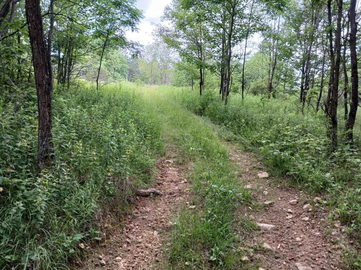 Trail 11G - Rock Run Recreation Area photo 5