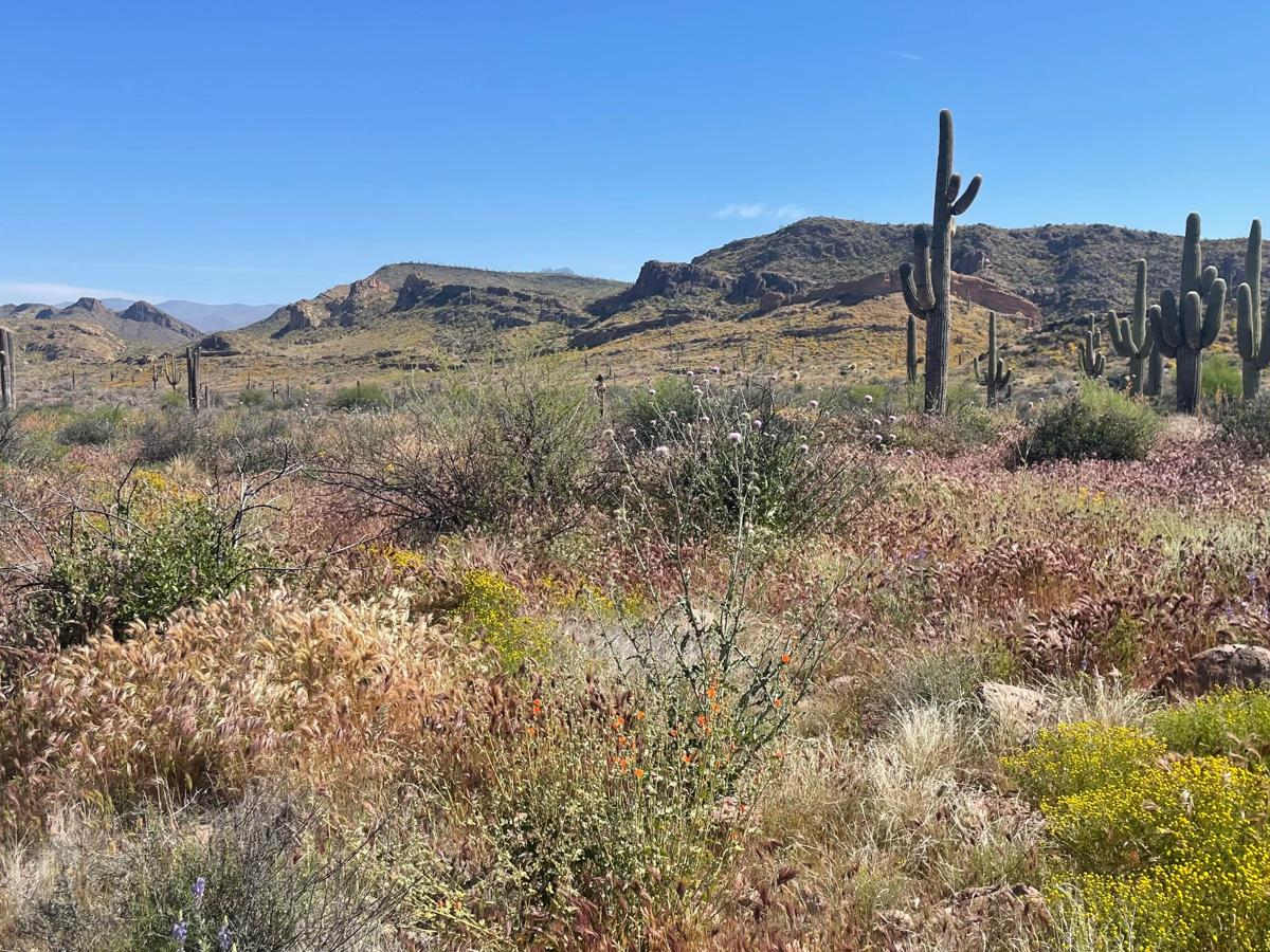First Water Trail trail photo