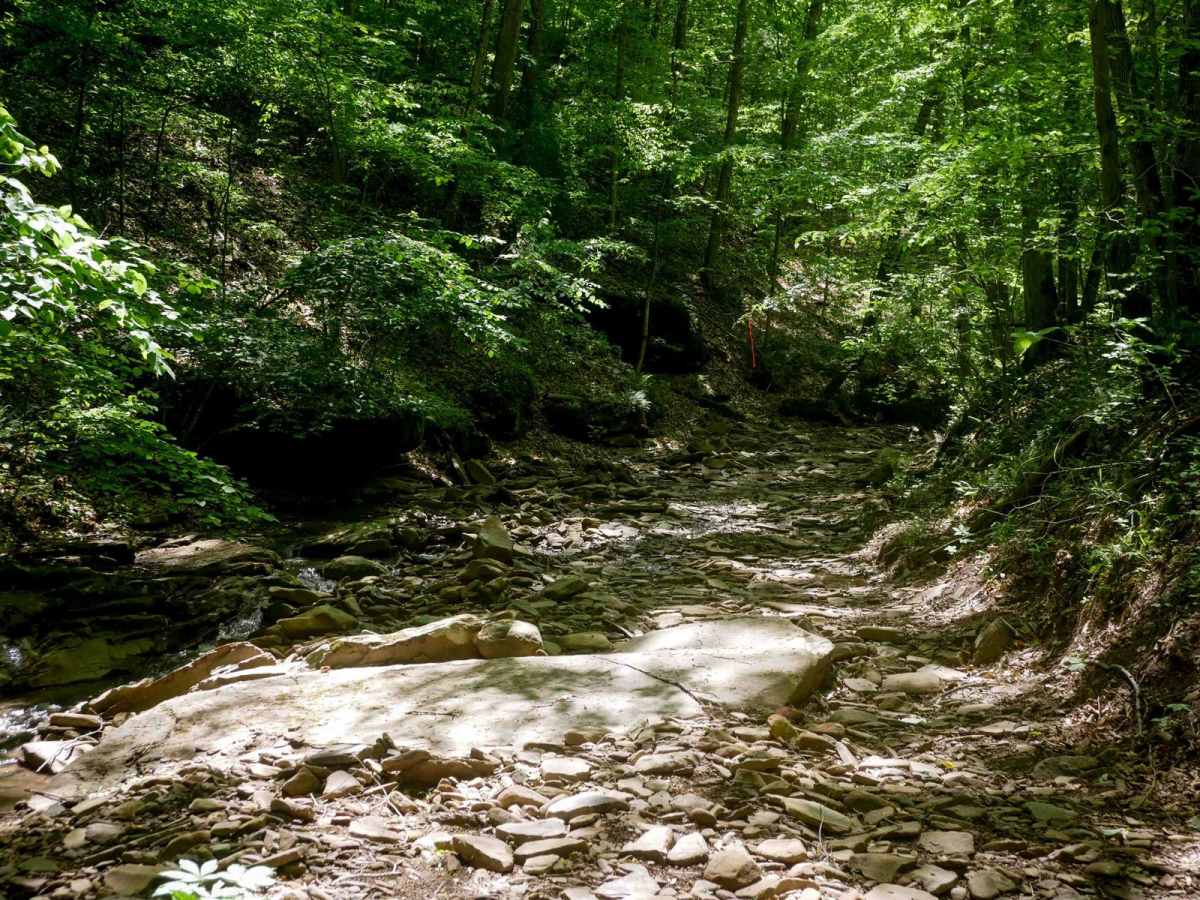 Trail 29 photo 5