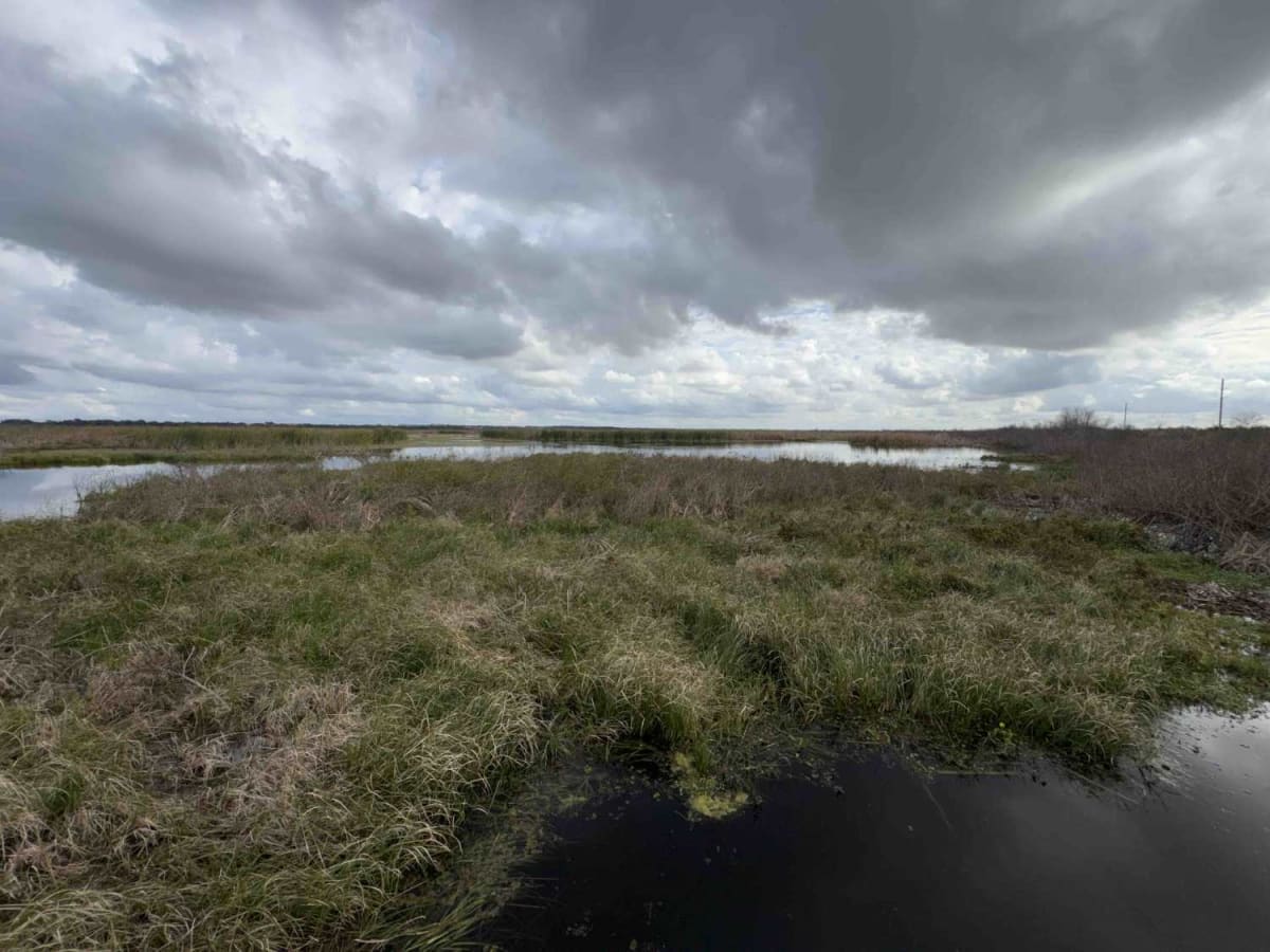 Lake Apopka Wildlife Drive photo 3